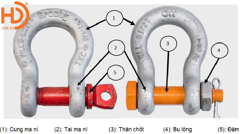 Tìm hiểu về cấu tạo của Ma ní